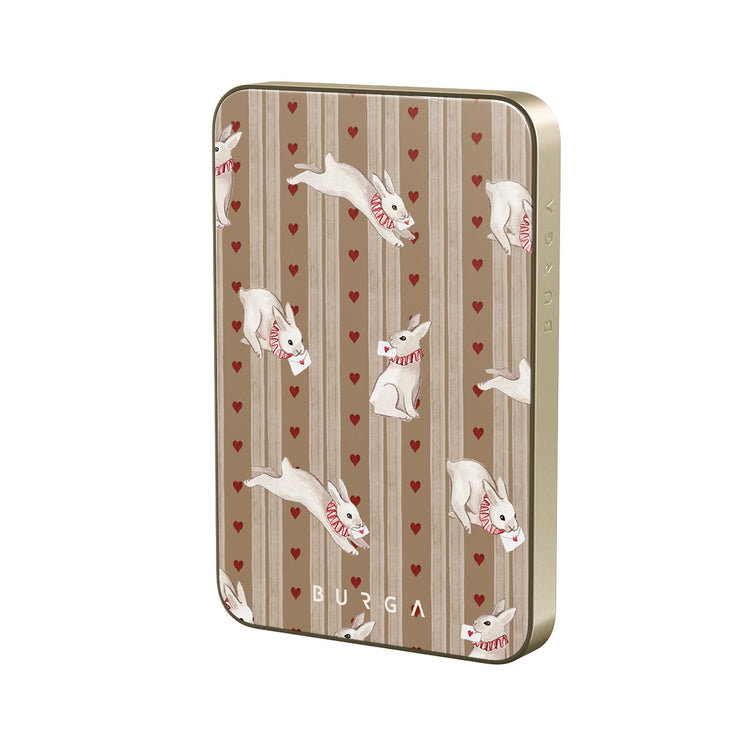 AL_07MS_MagPbank5K-GO