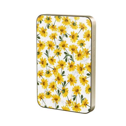 BA_07MS_MagPbank5K-GO