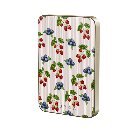 CP_10MS_MagPbank5K-GO