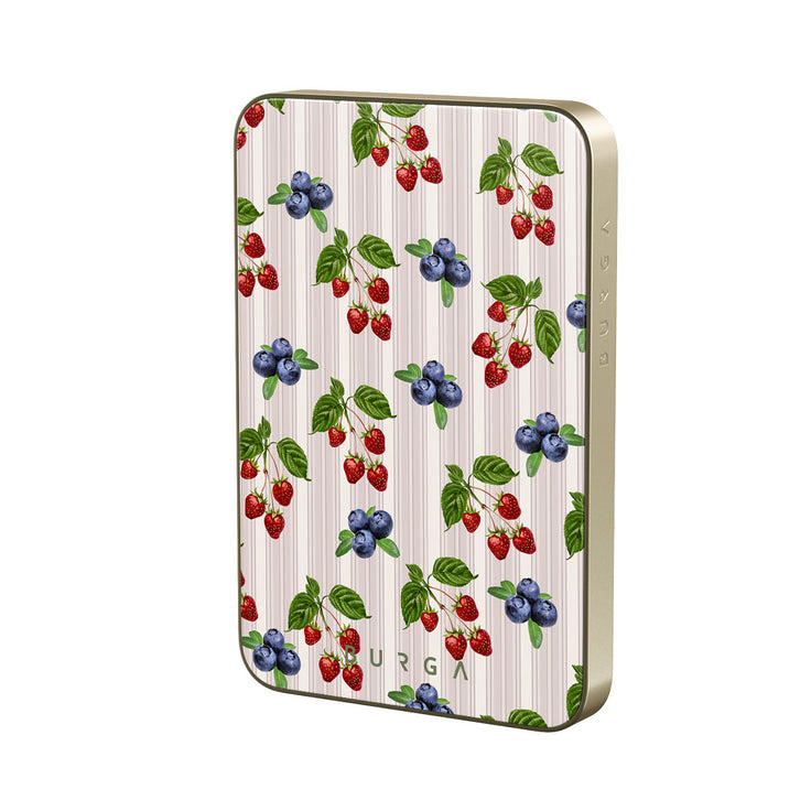 CP_10MS_MagPbank5K-GO