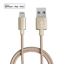USB 對 Lightning / 金色