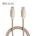 USB-C 對 Lightning / 金色