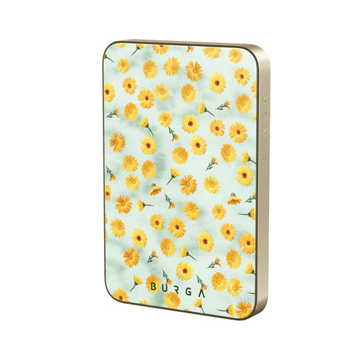 RL_02MS_MagPbank5K-GO